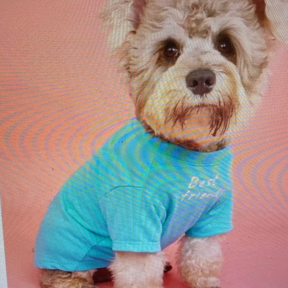 Essentials Turquoise Dog Tee